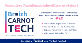 BCT - Homepage B2Match