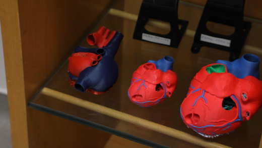 1_coeur_prim3d_et_bopex.png