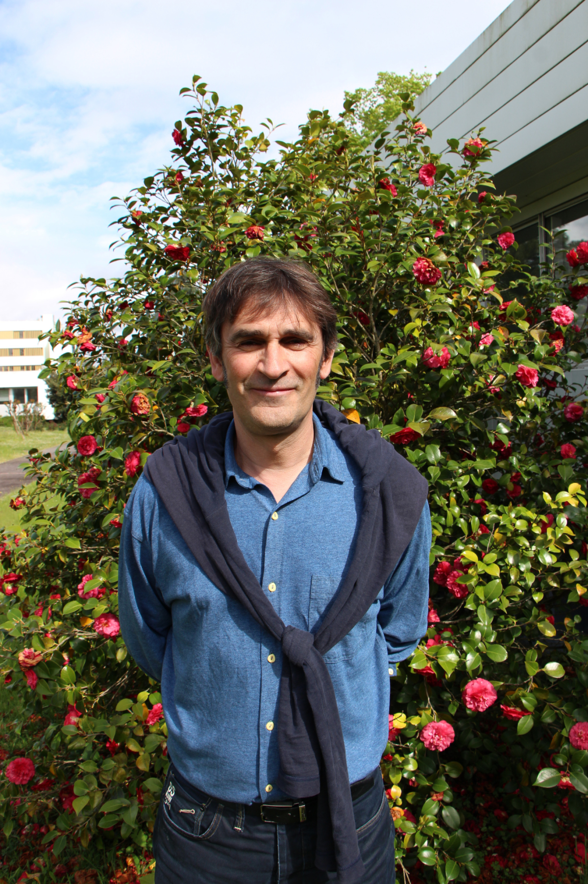 Daniel BRITO