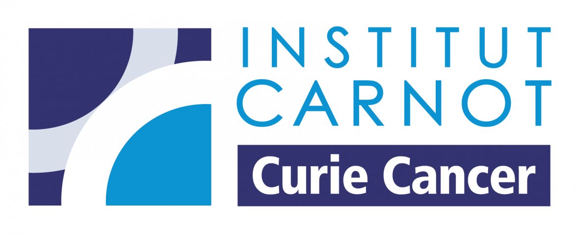 CARNOT_Curie-Cancer_06-2020.jpg
