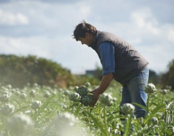 Agrifood