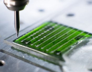 Carnot IPGG Microfluidique