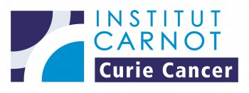 Curie Cancer