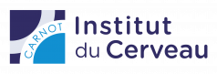 Institut du Cerveau