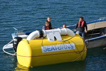 Seaturns