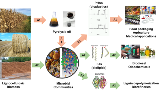 Schematic-of-the-project-768x437.png