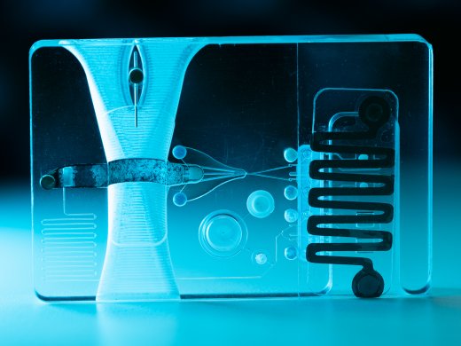 A.Lapras-nawu diagnostics.jpg