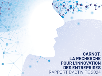 rapport d'activité 2024